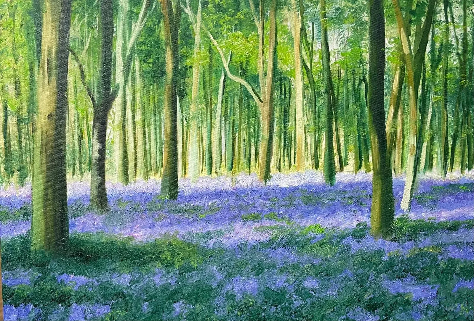 Bluebell Woods Landscape