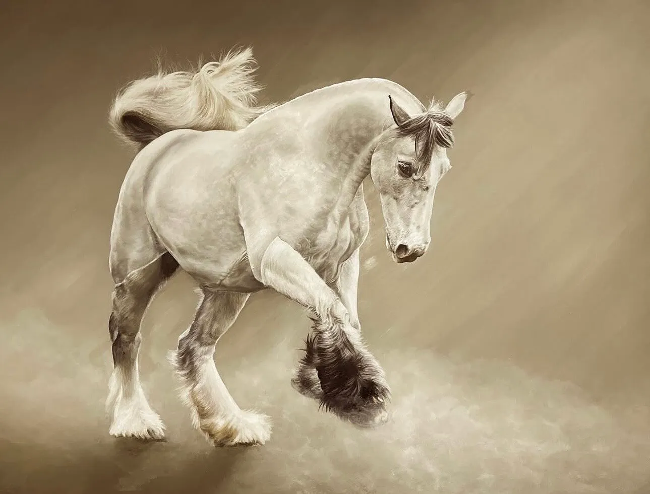 White Shire Horse